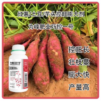 膨大增產(chǎn)紅薯膨大素巧控一號(hào)生產(chǎn)廠家,為峰肥業(yè)廠家批發(fā)