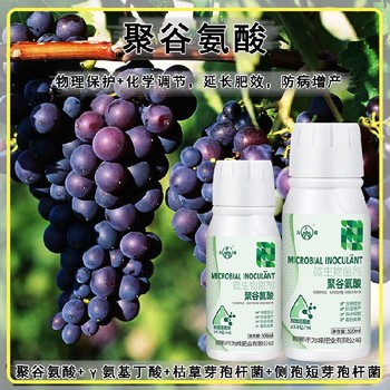 增效劑聚谷氨酸特肥效果,為峰肥業(yè)廠家電話