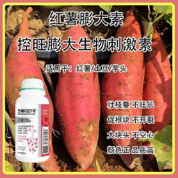 防裂紅薯控旺膨大巧控一號,為峰肥業(yè)廠家批發(fā)
