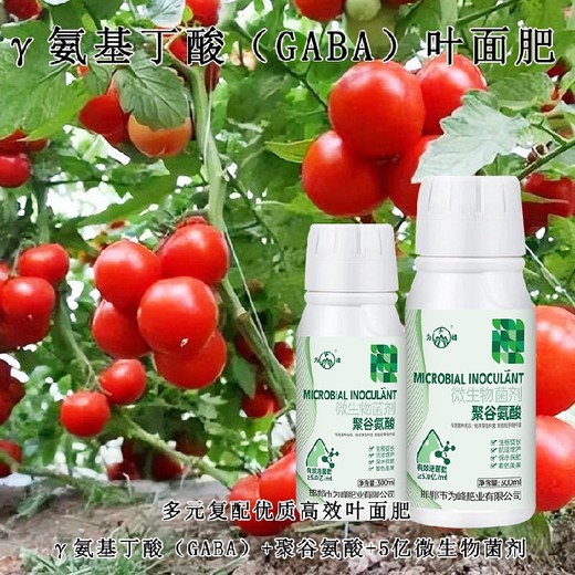 膨大增產(chǎn)γ氨基丁酸特肥定做包裝,為峰肥業(yè)廠(chǎng)家電話(huà)