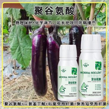 新型聚谷氨酸特肥廠家電話,為峰肥業(yè)廠家電話