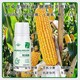 新型γ氨基丁酸特肥廠家電話,為峰肥業(yè)廠家電話產(chǎn)品圖