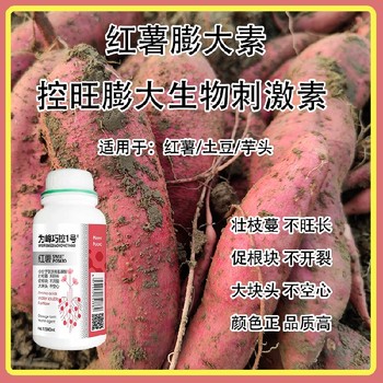 山藥紅薯控旺膨大巧控一號效果,為峰肥業廠家批發