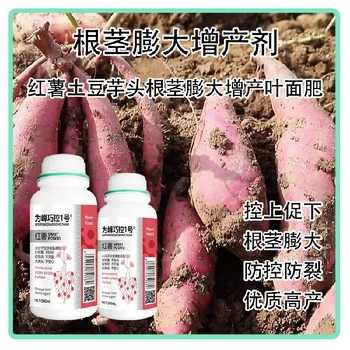 膨大增產(chǎn)根莖膨大巧控一號價格,為峰肥業(yè)廠家批發(fā)