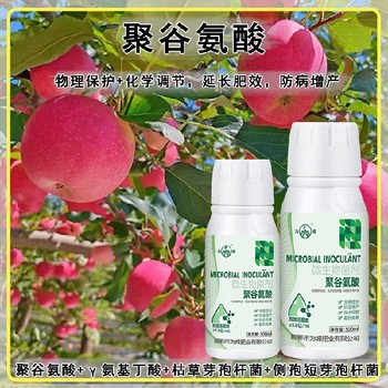 生物活性γ-PGA特肥定做包裝,為峰肥業(yè)廠家電話