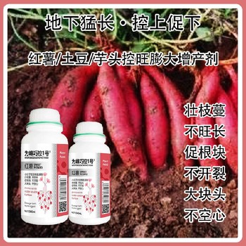 芋頭為峰肥業巧控一號經銷商,為峰肥業廠家批發