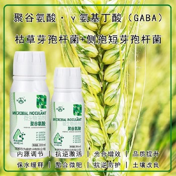 保水保肥GABA特肥什么牌子好,為峰肥業(yè)廠(chǎng)家電話(huà)