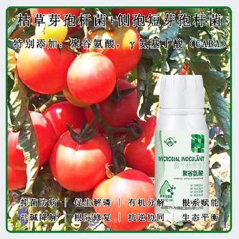 快速吸收γ氨基丁酸特肥,為峰肥業廠家電話