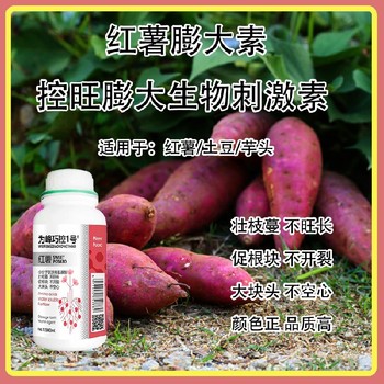 膨大增產(chǎn)紅薯膨大素巧控一號(hào)生產(chǎn)廠家,為峰肥業(yè)廠家批發(fā)