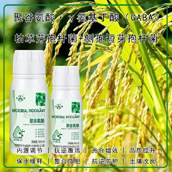 新型GABA特肥作用,為峰肥業(yè)廠家電話