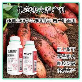 膨大防空心根莖膨大巧控一號(hào)多少錢,為峰肥業(yè)廠家批發(fā)