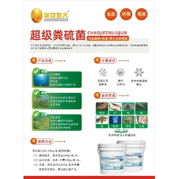 河南海參翻塘超級糞硫菌