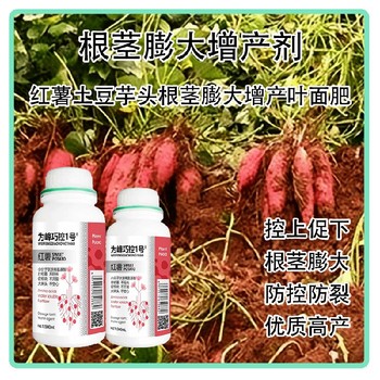 膨大增產(chǎn)紅薯膨大素巧控一號(hào)生產(chǎn)廠家,為峰肥業(yè)廠家批發(fā)