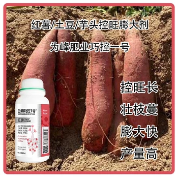 洋芋控上促下巧控一號(hào)哪里賣,為峰肥業(yè)廠家批發(fā)