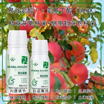 調節劑GABA特肥批發(fā),為峰肥業(yè)廠(chǎng)家電話(huà)