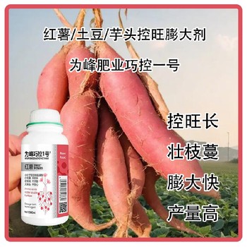 芋頭為峰肥業巧控一號經銷商,為峰肥業廠家批發