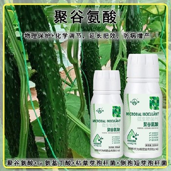 膨大增產(chǎn)GABA特肥多少錢(qián),為峰肥業(yè)廠(chǎng)家電話(huà)