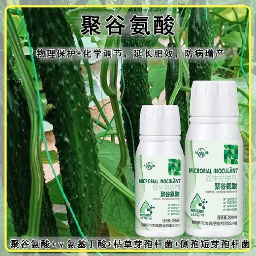 膨大增產(chǎn)聚谷氨酸特肥什么牌子好,為峰肥業(yè)廠家電話