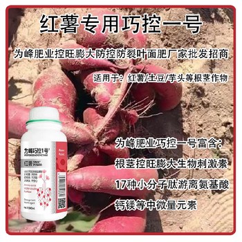 控旺膨大紅薯控旺劑巧控一號怎么使用,為峰肥業(yè)廠家批發(fā)