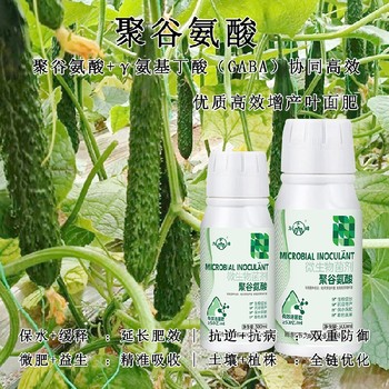 新型γ氨基丁酸特肥功效,生產(chǎn)廠(chǎng)家招商