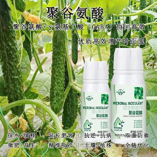 生物雌激素γ-PGA特肥哪個(gè)廠家好,為峰肥業(yè)廠家電話