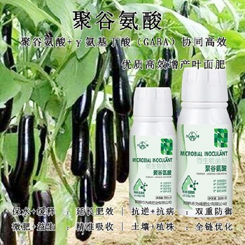 膨大增產(chǎn)γ-PGA特肥廠家電話,為峰肥業(yè)廠家電話