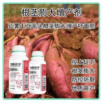 防裂紅薯控旺膨大巧控一號,為峰肥業(yè)廠家批發(fā)