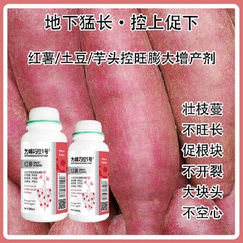 芋頭紅薯膨大素巧控一號(hào)生產(chǎn)廠家,為峰肥業(yè)廠家批發(fā)
