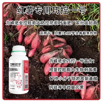 芋頭紅薯控旺劑巧控一號(hào),為峰肥業(yè)廠(chǎng)家批發(fā)