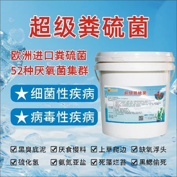 河南海參翻塘超級糞硫菌