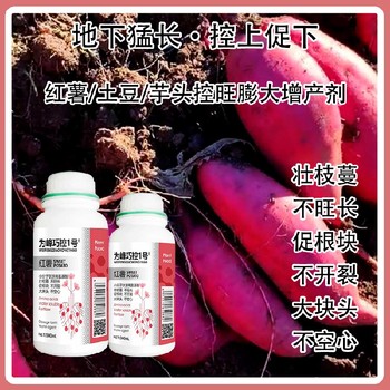 膨大增產(chǎn)紅薯膨大素巧控一號(hào)生產(chǎn)廠家,為峰肥業(yè)廠家批發(fā)