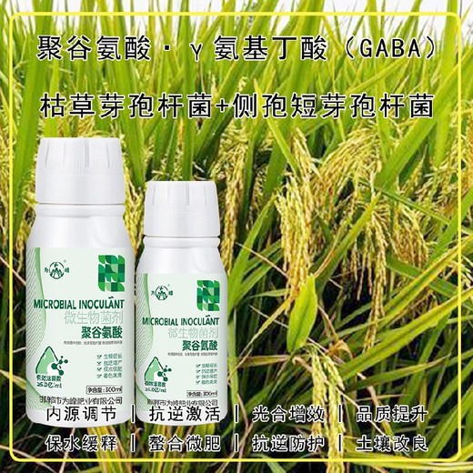 新型GABA特肥廠家排名,生產(chǎn)廠家招商