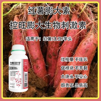 芋頭為峰肥業巧控一號經銷商,為峰肥業廠家批發