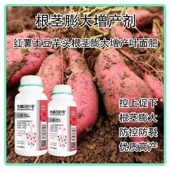 膨大增產紅薯葉面肥巧控一號招商,為峰肥業廠家批發