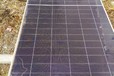 阿拉善盟太陽能發(fā)電板回收,廢棄太陽能發(fā)電板回收公司