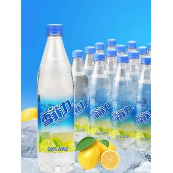 天寧區(qū)瓶裝雪菲力鹽氣水批發(fā)