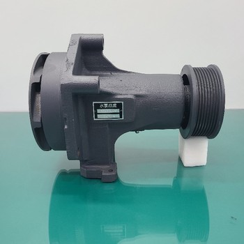 山推SD16推土機(jī)配件水泵現(xiàn)貨直供山推160新款水泵