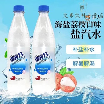 常州武進(jìn)區(qū)雪菲力鹽氣水批發(fā)