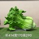 縣創(chuàng)意白菜雕塑圖