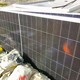 蘇州廢棄發(fā)電太陽能板回收,25w發(fā)電太陽能板回收價格產(chǎn)品圖