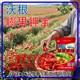 鉀寶圖