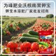 鉀寶圖