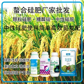 糖醇硅中性硅肥水稻硅肥,為峰肥業(yè)廠家招商