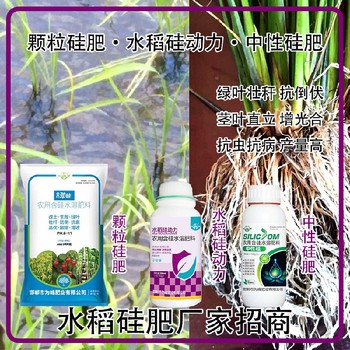 中性硅顆粒硅肥水稻硅肥哪個廠家好,生產廠家批發