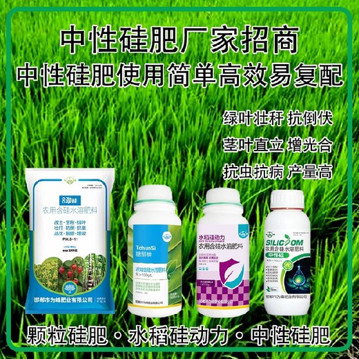 糖醇硅水剂硅肥水稻硅肥,为峰肥业厂家招商