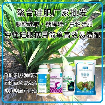 中性硅中性硅肥水稻硅肥用法用量,為峰肥業(yè)廠家招商
