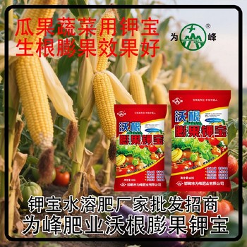 為峰廠家高鉀肥鉀寶銷售經(jīng)理,鉀寶廠家招商電話