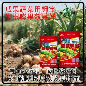 為峰廠家膨果鉀寶鉀寶銷售經(jīng)理,為峰肥業(yè)鉀寶招商