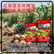 膨果肥膨果鉀寶鉀寶廠(chǎng)家電話(huà),鉀寶廠(chǎng)家招商電話(huà)產(chǎn)品圖