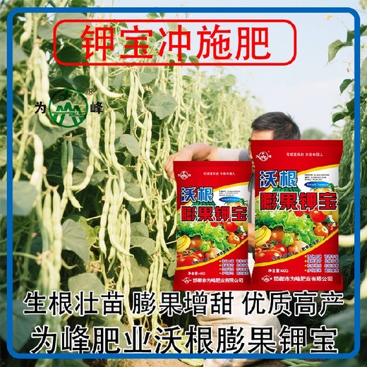 生根壯苗鉀寶沖施肥鉀寶價(jià)格,鉀寶廠家招商電話